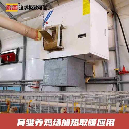 育雛養(yǎng)雞場快速加熱取暖 永備燃?xì)庵比夹蜔犸L(fēng)機HB系列